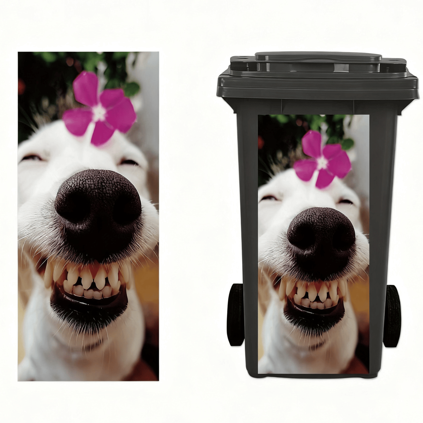 ๐ซ Donkey Painting Trash Can Sticker