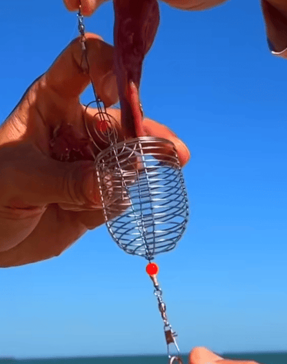 Tyiiplus™ Stainless Steel Fishing Bait Cage Feeder – Durable Fish Attracting Rig Attachment