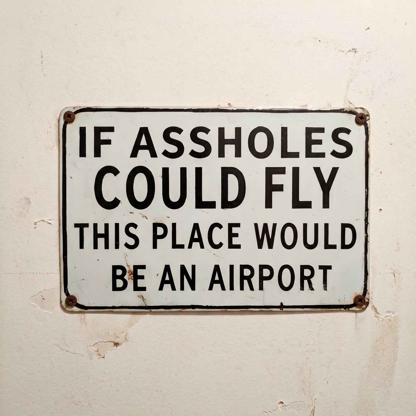 Funny "If Assholes Could Fly" Vintage Metal Sign – Hilarious Man Cave Wall Decor ✈️😂