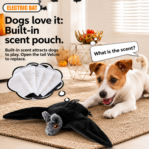 TYIIPLUS™ Flying Bat Toy