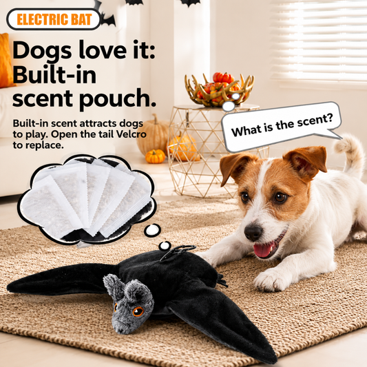 TYIIPLUS™ Flying Bat Toy