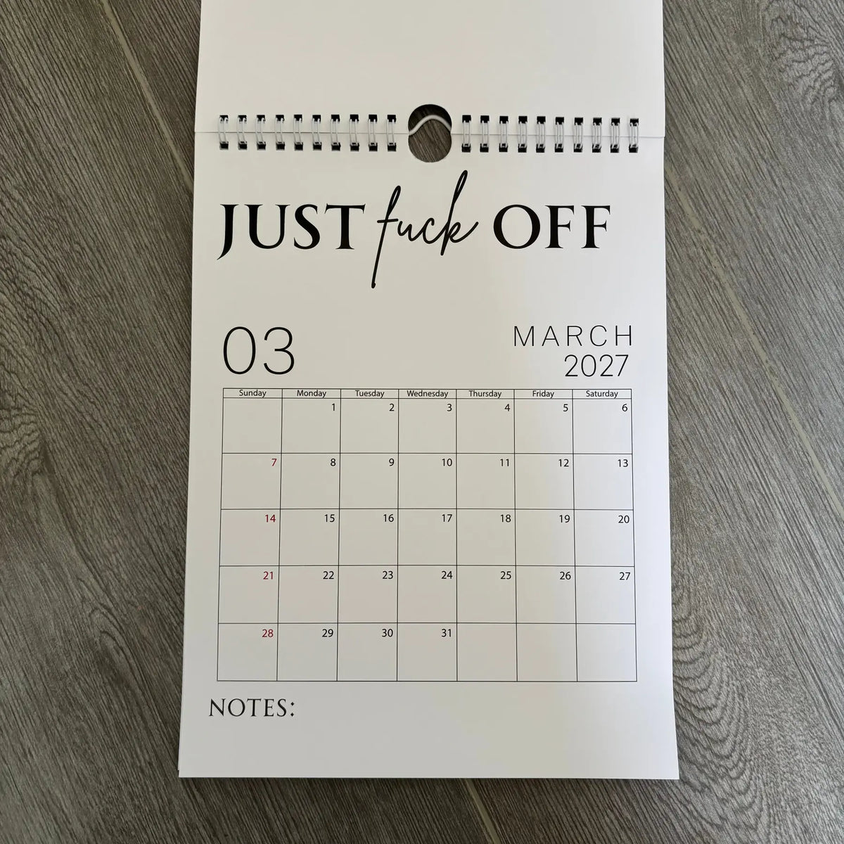 Fuck It Calendar 2027, Funny Sweary Wall Calendar