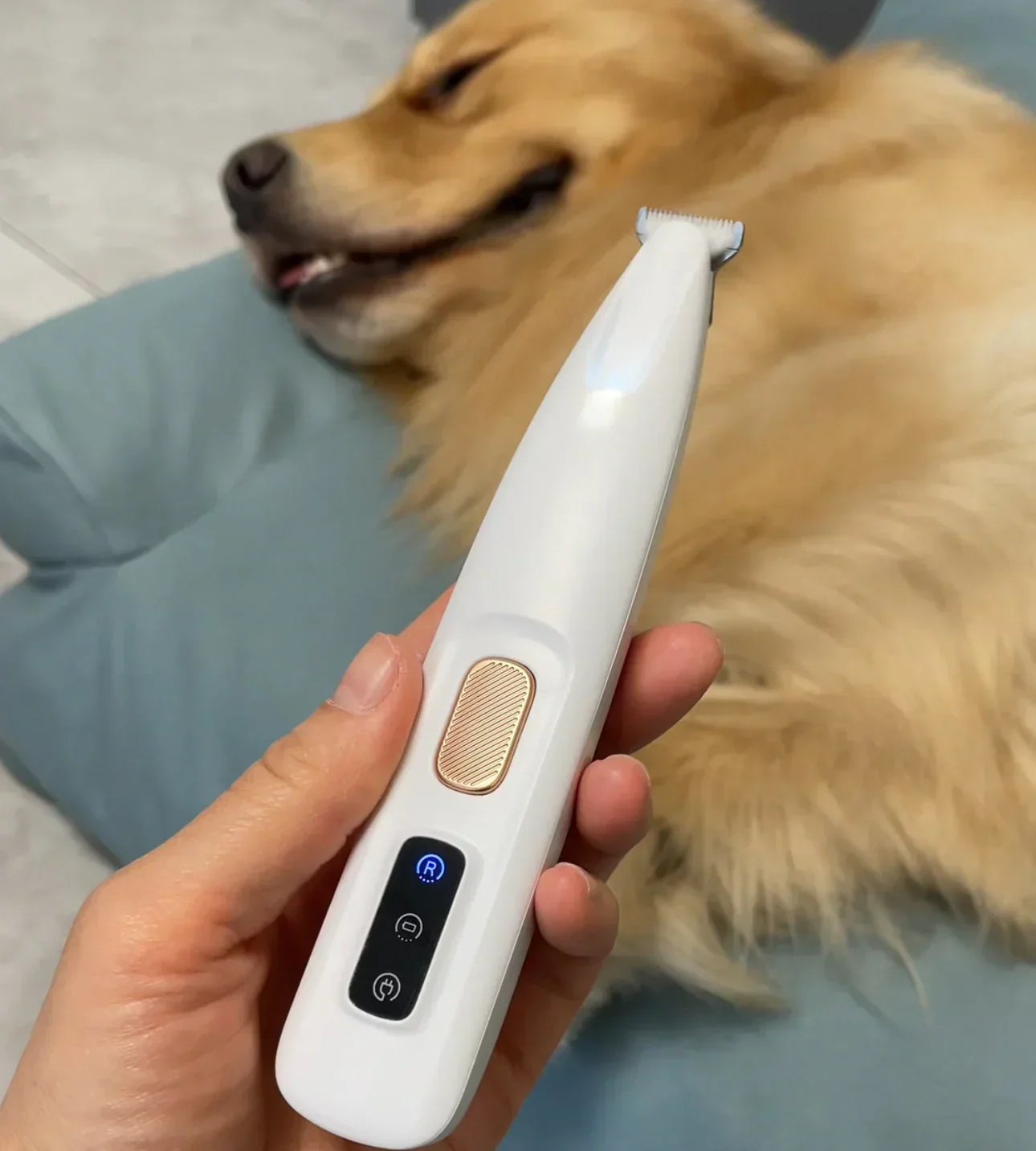 🐶 Rechargeable Pet Hair Tyiiplus Kit