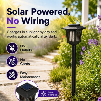 Solar Mosquito Zapper Path Light