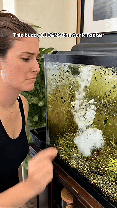 🧪Aquarium Water Purification Tablets | Bio-Safe Effervescent Formula for Crystal Clear Fish Tanks