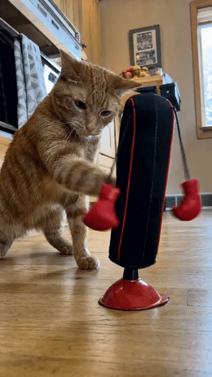 Tyiiplus™ Pawnch Punching Bag